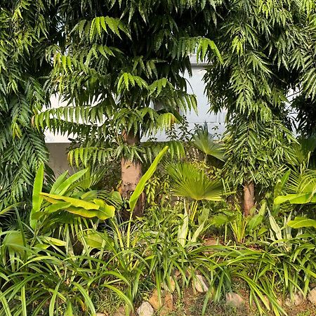 The Bougainvillea Cottage Farmstay Near Dehradun , 2 Bedroom Private Cottage Next To Fields And Orchards With Hill Views 외부 사진