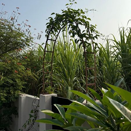 The Bougainvillea Cottage Farmstay Near Dehradun , 2 Bedroom Private Cottage Next To Fields And Orchards With Hill Views 외부 사진