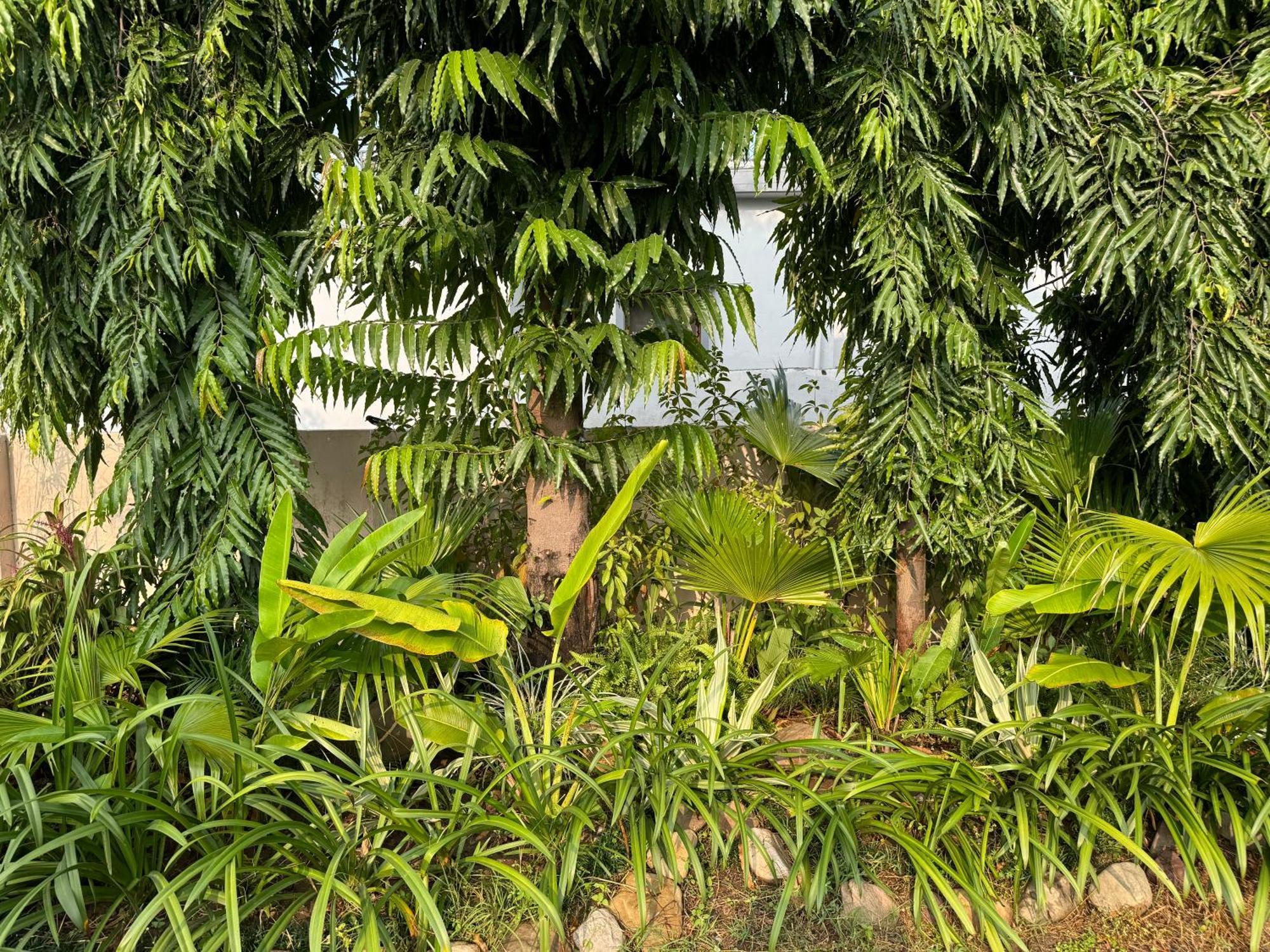 The Bougainvillea Cottage Farmstay Near Dehradun , 2 Bedroom Private Cottage Next To Fields And Orchards With Hill Views 외부 사진