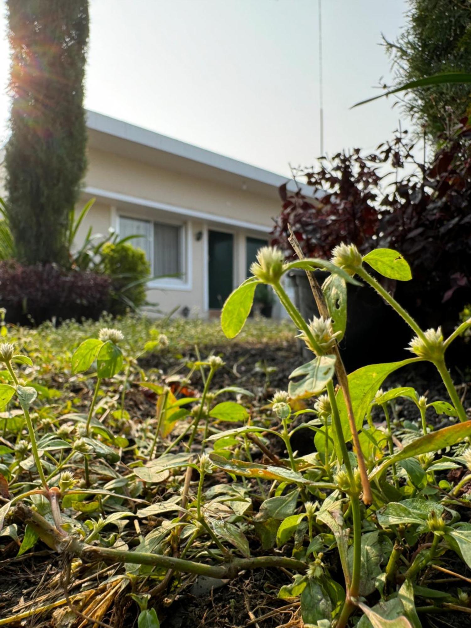 The Bougainvillea Cottage Farmstay Near Dehradun , 2 Bedroom Private Cottage Next To Fields And Orchards With Hill Views 외부 사진