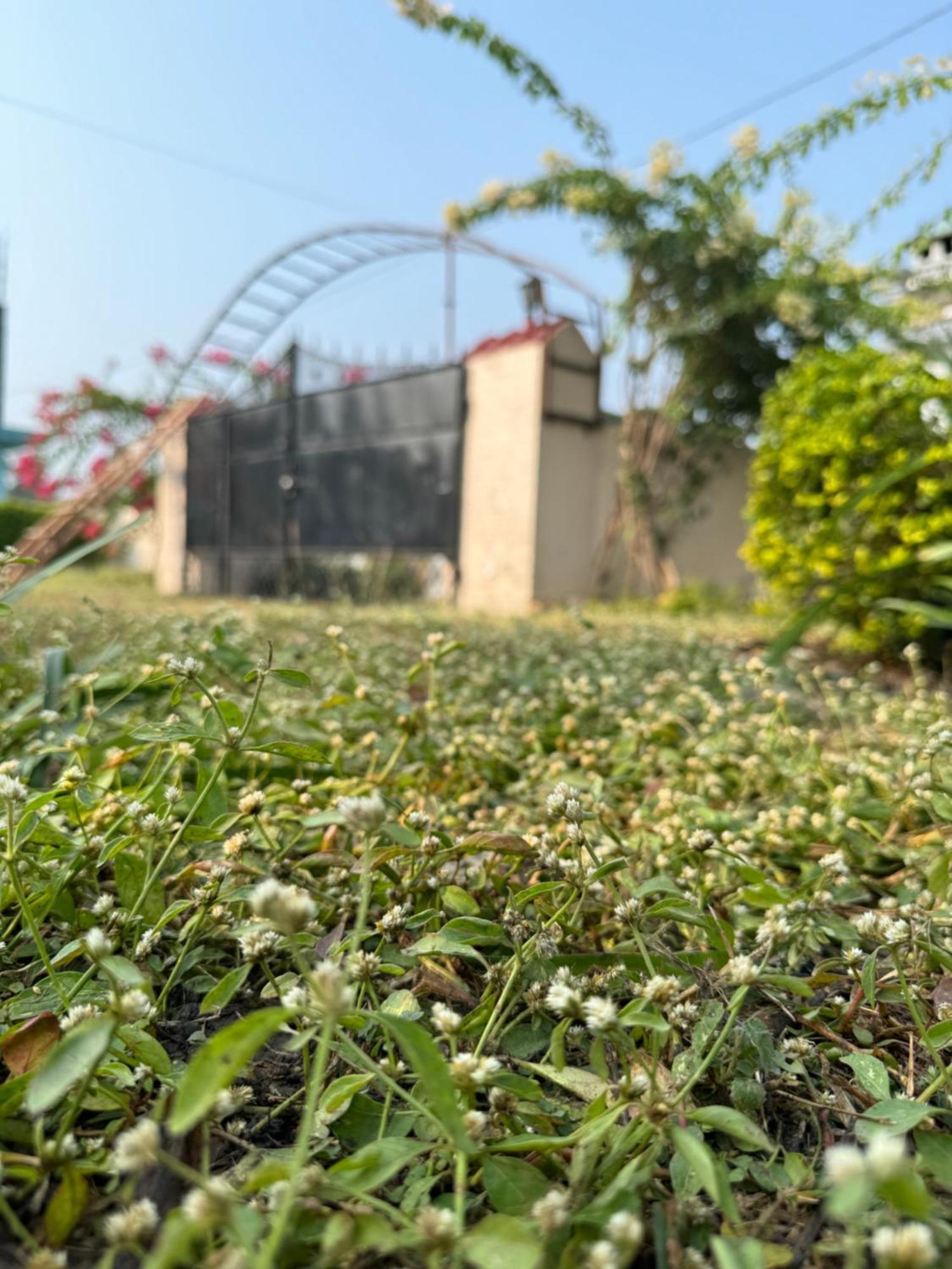 The Bougainvillea Cottage Farmstay Near Dehradun , 2 Bedroom Private Cottage Next To Fields And Orchards With Hill Views 외부 사진